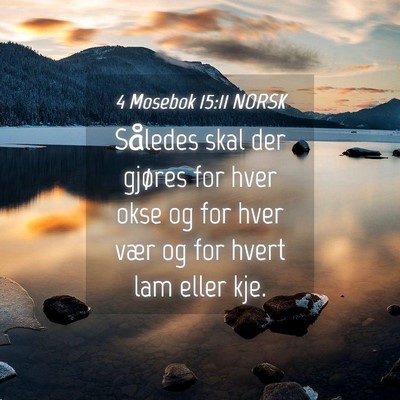 Picture 04 - 4 Mosebok 15:11 NORSK - Således skal der gjøres for hver okse og for - Bible Verse Picture