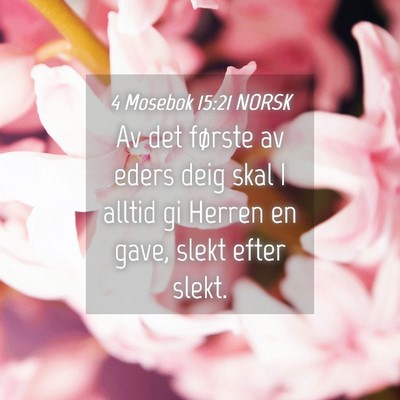 Picture 04 - 4 Mosebok 15:21 NORSK - Av det første av eders deig skal I alltid gi - Bible Verse Picture