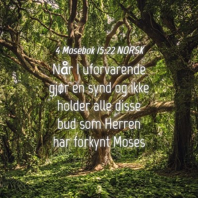 Picture 04 - 4 Mosebok 15:22 NORSK - Når I uforvarende gjør en synd og ikke holder - Bible Verse Picture