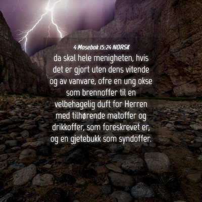 Picture 04 - 4 Mosebok 15:24 NORSK - da skal hele menigheten, hvis det er gjort uten - Bible Verse Picture