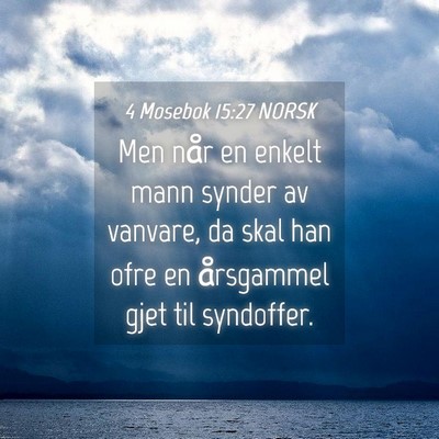 Picture 04 - 4 Mosebok 15:27 NORSK - Men når en enkelt mann synder av vanvare, da - Bible Verse Picture