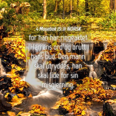 Picture 04 - 4 Mosebok 15:31 NORSK - for han har ringeaktet Herrens ord og brutt hans - Bible Verse Picture
