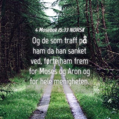 Picture 04 - 4 Mosebok 15:33 NORSK - Og de som traff på ham da han sanket ved, førte - Bible Verse Picture