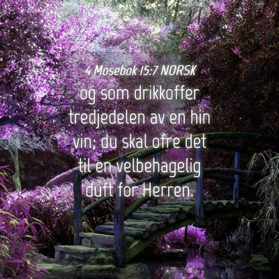 Picture 04 - 4 Mosebok 15:7 NORSK - og som drikkoffer tredjedelen av en hin vin; du - Bible Verse Picture
