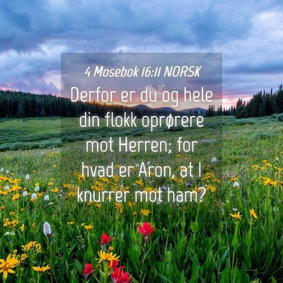 Picture 04 - 4 Mosebok 16:11 NORSK - Derfor er du og hele din flokk oprørere mot - Bible Verse Picture