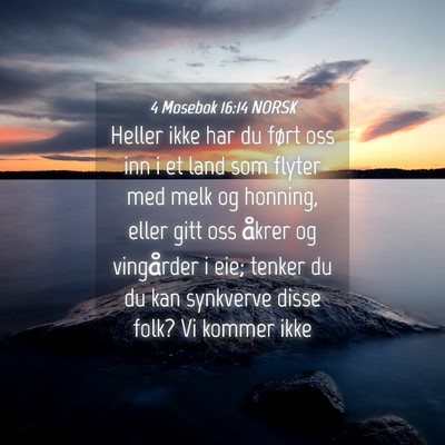Picture 04 - 4 Mosebok 16:14 NORSK - Heller ikke har du ført oss inn i et land som - Bible Verse Picture