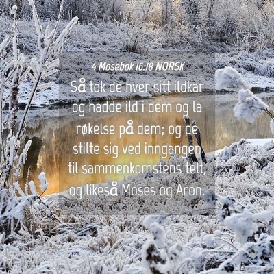 Picture 04 - 4 Mosebok 16:18 NORSK - Så tok de hver sitt ildkar og hadde ild i dem og - Bible Verse Picture
