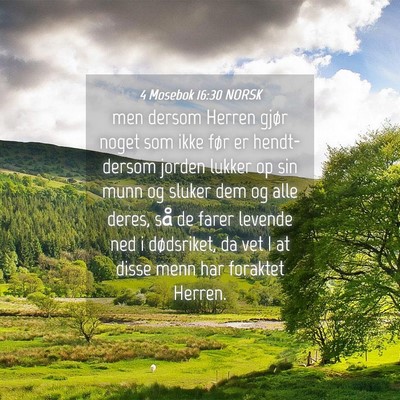 Picture 04 - 4 Mosebok 16:30 NORSK - men dersom Herren gjør noget som ikke før er - Bible Verse Picture