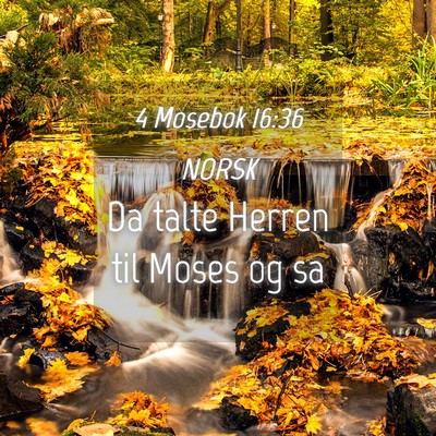Picture 04 - 4 Mosebok 16:36 NORSK - Da talte Herren til Moses og - Bible Verse Picture