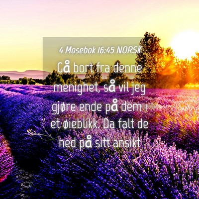 Picture 04 - 4 Mosebok 16:45 NORSK - Gå bort fra denne menighet, så vil jeg gjøre - Bible Verse Picture