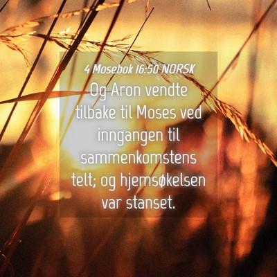 Picture 04 - 4 Mosebok 16:50 NORSK - Og Aron vendte tilbake til Moses ved inngangen - Bible Verse Picture