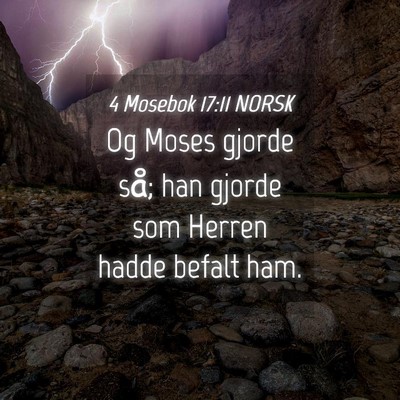 Picture 04 - 4 Mosebok 17:11 NORSK - Og Moses gjorde så; han gjorde som Herren hadde - Bible Verse Picture