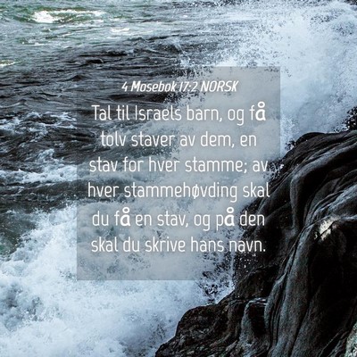 Picture 04 - 4 Mosebok 17:2 NORSK - Tal til Israels barn, og få tolv staver av dem, - Bible Verse Picture