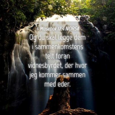 Picture 04 - 4 Mosebok 17:4 NORSK - Og du skal legge dem i sammenkomstens telt foran - Bible Verse Picture