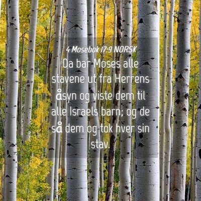 Picture 04 - 4 Mosebok 17:9 NORSK - Da bar Moses alle stavene ut fra Herrens åsyn og - Bible Verse Picture