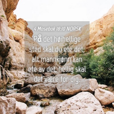 Picture 04 - 4 Mosebok 18:10 NORSK - På det høihellige sted skal du ete det; alt - Bible Verse Picture