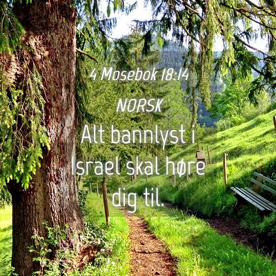Picture 04 - 4 Mosebok 18:14 NORSK - Alt bannlyst i Israel skal høre dig - Bible Verse Picture