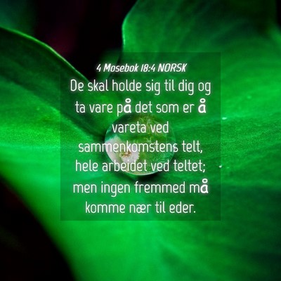 Picture 04 - 4 Mosebok 18:4 NORSK - De skal holde sig til dig og ta vare på det som - Bible Verse Picture