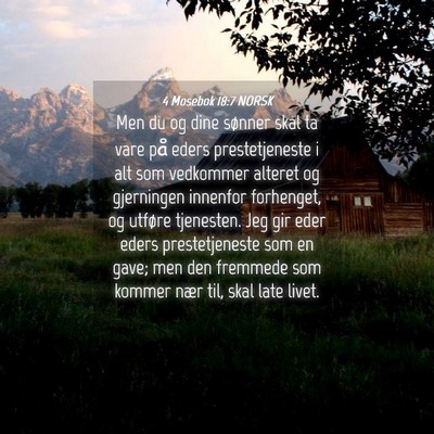 Picture 04 - 4 Mosebok 18:7 NORSK - Men du og dine sønner skal ta vare på eders - Bible Verse Picture