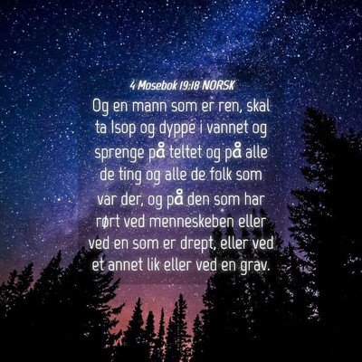 Picture 04 - 4 Mosebok 19:18 NORSK - Og en mann som er ren, skal ta Isop og dyppe i - Bible Verse Picture