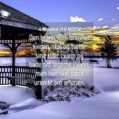 Picture 04 - 4 Mosebok 19:8 NORSK - Den mann som brenner kvigen, skal og tvette sine - Bible Verse Picture
