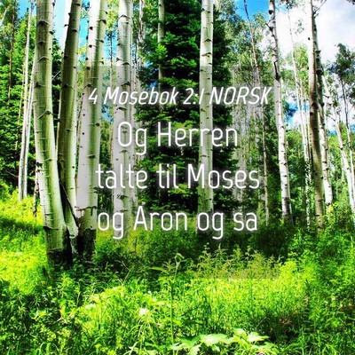 Picture 04 - 4 Mosebok 2:1 NORSK - Og Herren talte til Moses og Aron og - Bible Verse Picture