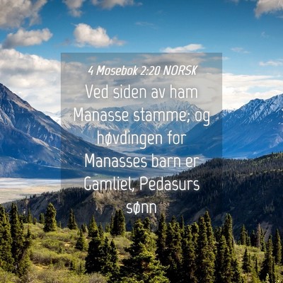 Picture 04 - 4 Mosebok 2:20 NORSK - Ved siden av ham Manasse stamme; og høvdingen - Bible Verse Picture