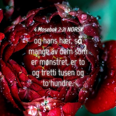 Picture 04 - 4 Mosebok 2:21 NORSK - og hans hær, så mange av dem som er mønstret, - Bible Verse Picture