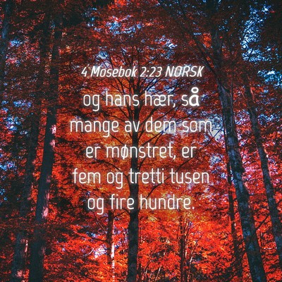 Picture 04 - 4 Mosebok 2:23 NORSK - og hans hær, så mange av dem som er mønstret, - Bible Verse Picture
