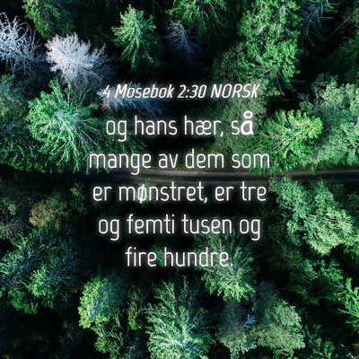 Picture 04 - 4 Mosebok 2:30 NORSK - og hans hær, så mange av dem som er mønstret, - Bible Verse Picture