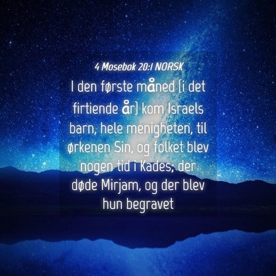 Picture 04 - 4 Mosebok 20:1 NORSK - I den første måned {i det firtiende år} kom - Bible Verse Picture