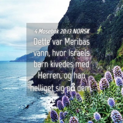 Picture 04 - 4 Mosebok 20:13 NORSK - Dette var Meribas vann, hvor Israels barn kivedes - Bible Verse Picture