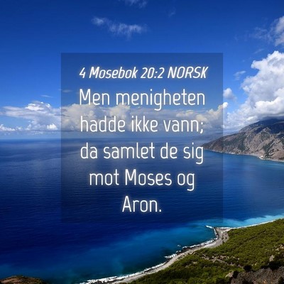 Picture 04 - 4 Mosebok 20:2 NORSK - Men menigheten hadde ikke vann; da samlet de sig - Bible Verse Picture
