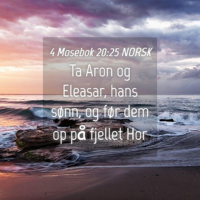 Picture 04 - 4 Mosebok 20:25 NORSK - Ta Aron og Eleasar, hans sønn, og før dem op - Bible Verse Picture