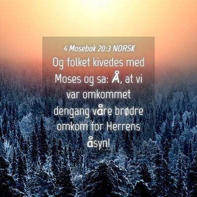 Picture 04 - 4 Mosebok 20:3 NORSK - Og folket kivedes med Moses og sa: Å, at vi var - Bible Verse Picture