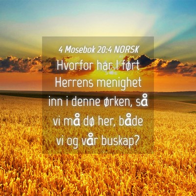 Picture 04 - 4 Mosebok 20:4 NORSK - Hvorfor har I ført Herrens menighet inn i denne - Bible Verse Picture