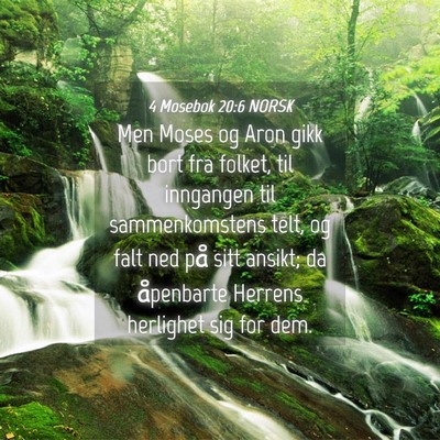 Picture 04 - 4 Mosebok 20:6 NORSK - Men Moses og Aron gikk bort fra folket, til - Bible Verse Picture