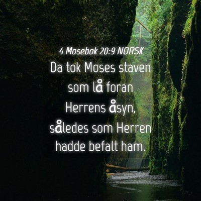 Picture 04 - 4 Mosebok 20:9 NORSK - Da tok Moses staven som lå foran Herrens åsyn, - Bible Verse Picture