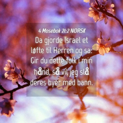 Picture 04 - 4 Mosebok 21:2 NORSK - Da gjorde Israel et løfte til Herren og sa: Gir - Bible Verse Picture