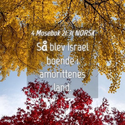 Picture 04 - 4 Mosebok 21:31 NORSK - Så blev Israel boende i amorittenes - Bible Verse Picture