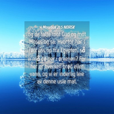 Picture 04 - 4 Mosebok 21:5 NORSK - og de talte mot Gud og mot Moses og sa: Hvorfor - Bible Verse Picture