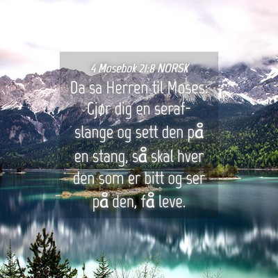 Picture 04 - 4 Mosebok 21:8 NORSK - Da sa Herren til Moses: Gjør dig en seraf-slange - Bible Verse Picture