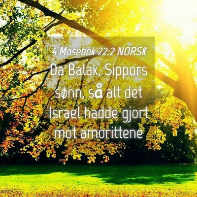 Picture 04 - 4 Mosebok 22:2 NORSK - Da Balak, Sippors sønn, så alt det Israel hadde - Bible Verse Picture