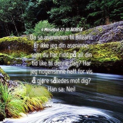 Picture 04 - 4 Mosebok 22:30 NORSK - Da sa aseninnen til Bileam: Er ikke jeg din - Bible Verse Picture