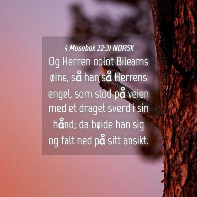 Picture 04 - 4 Mosebok 22:31 NORSK - Og Herren oplot Bileams øine, så han så - Bible Verse Picture
