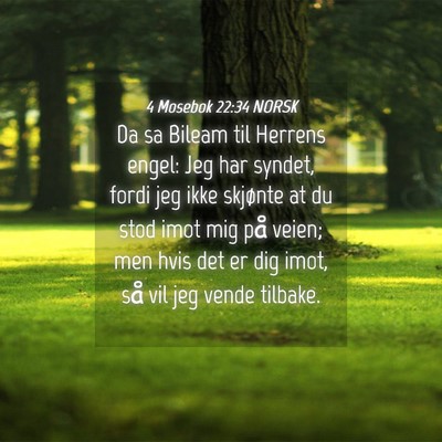 Picture 04 - 4 Mosebok 22:34 NORSK - Da sa Bileam til Herrens engel: Jeg har syndet, - Bible Verse Picture