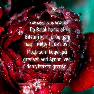 Picture 04 - 4 Mosebok 22:36 NORSK - Da Balak hørte at Bileam kom, drog han ham i - Bible Verse Picture