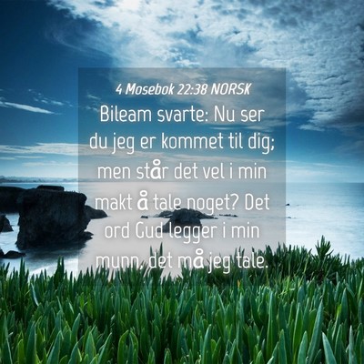 Picture 04 - 4 Mosebok 22:38 NORSK - Bileam svarte: Nu ser du jeg er kommet til dig; - Bible Verse Picture