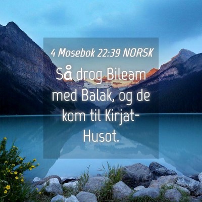 Picture 04 - 4 Mosebok 22:39 NORSK - Så drog Bileam med Balak, og de kom til - Bible Verse Picture