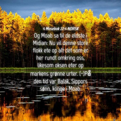 Picture 04 - 4 Mosebok 22:4 NORSK - Og Moab sa til de eldste i Midian: Nu vil denne - Bible Verse Picture